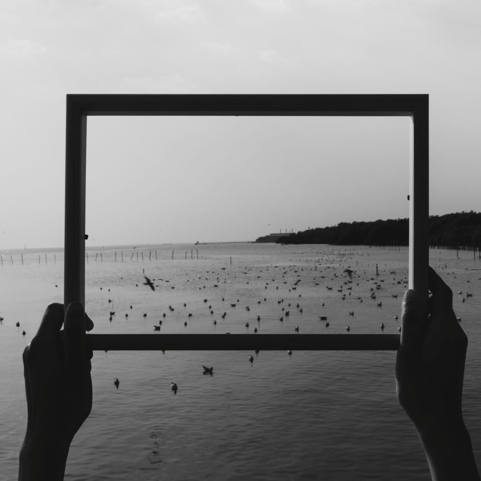 Negative Space