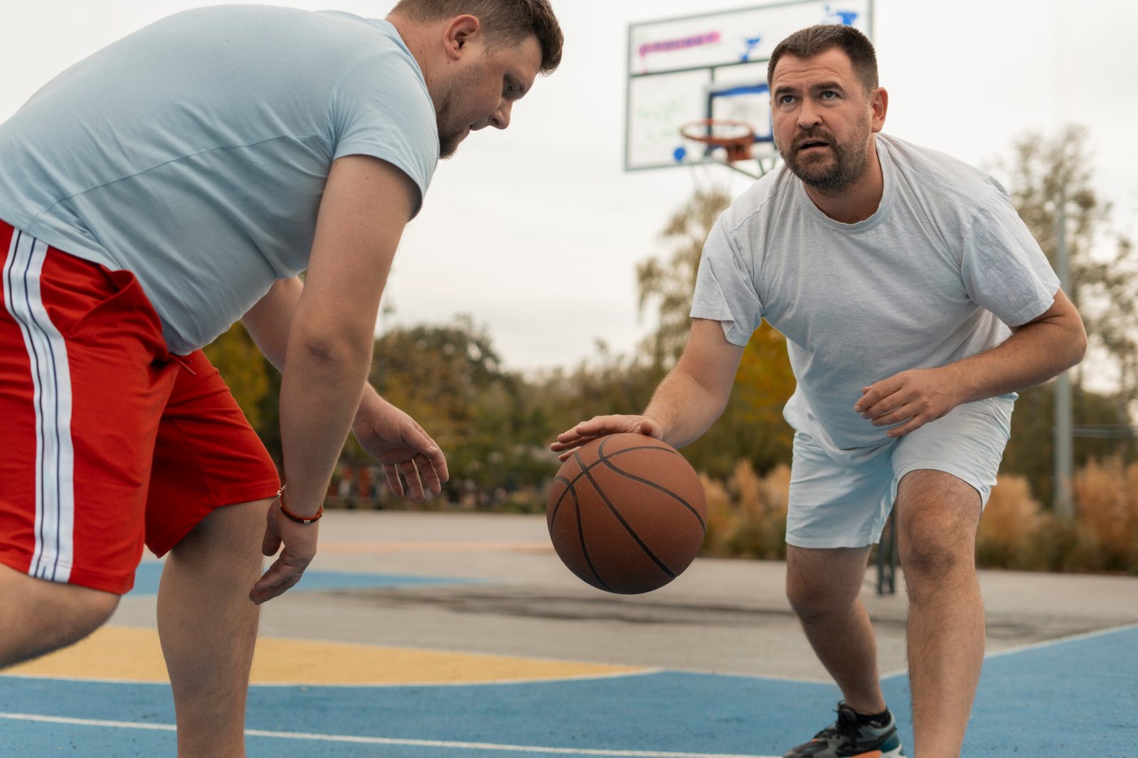 The Ultimate Guide to BGS Boreholes best basketball books