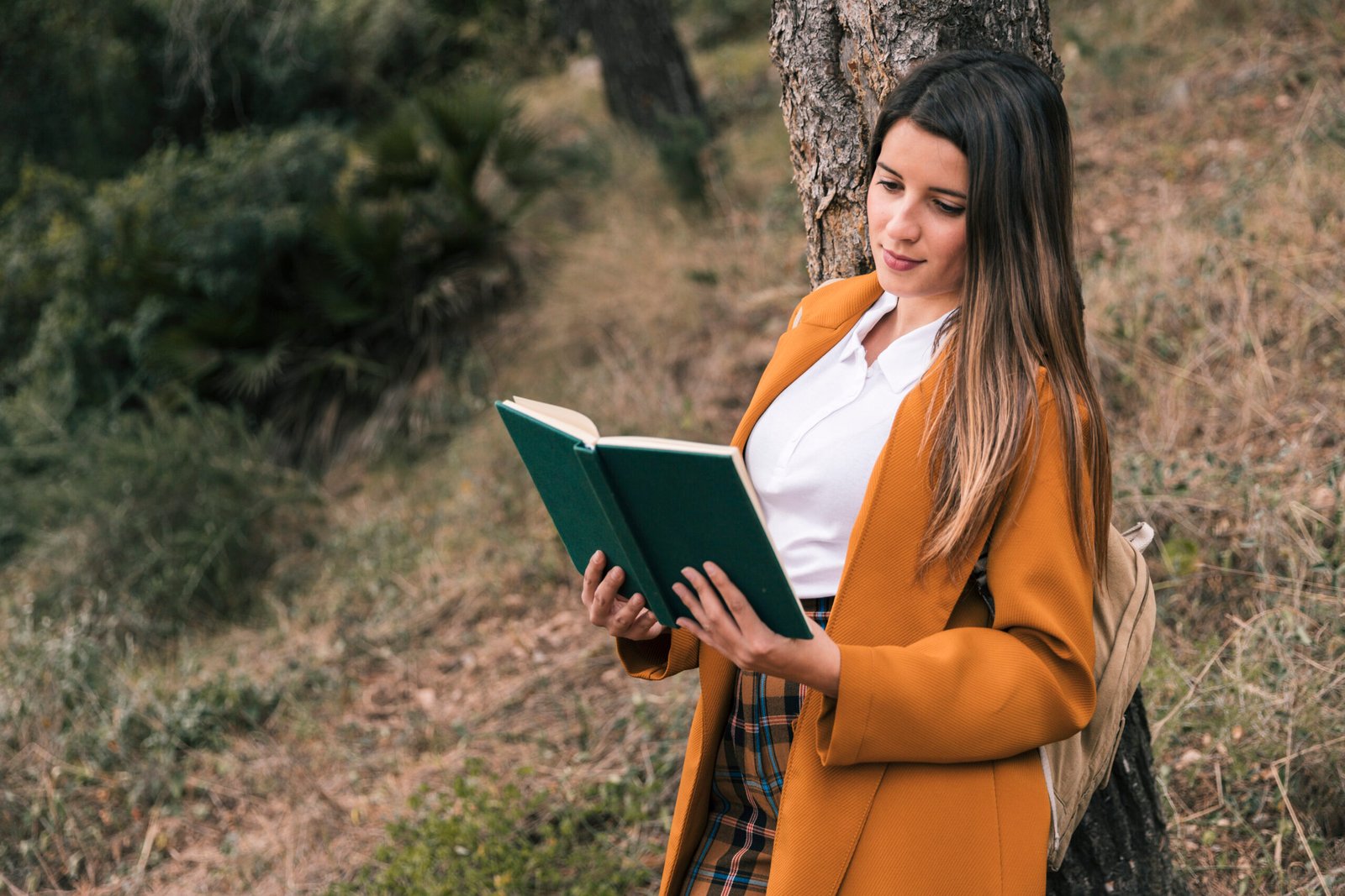 The Ultimate Guide to BGS Boreholes gina dejesus